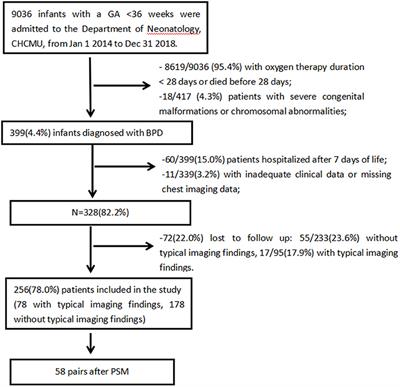 Clinical Characteristics and Outcomes Until 2 Years of Age in Preterm Infants With Typical Chest Imaging Findings of Bronchopulmonary Dysplasia: A Propensity Score Analysis